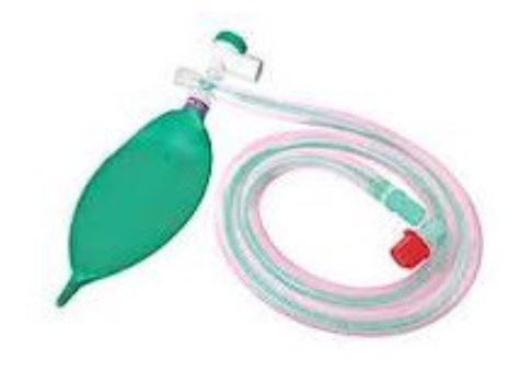 J R ( JACKSON REES ) CIRCUIT