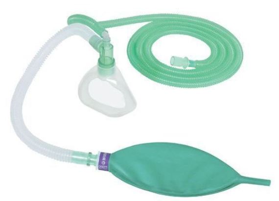 jackson rees circuit